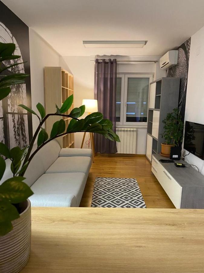 Benvenuti Apartments Beograd Eksteriør billede